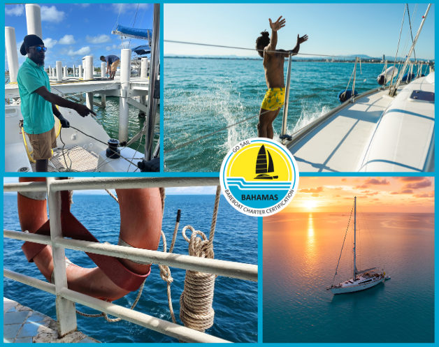 a group of people sitting at a beach